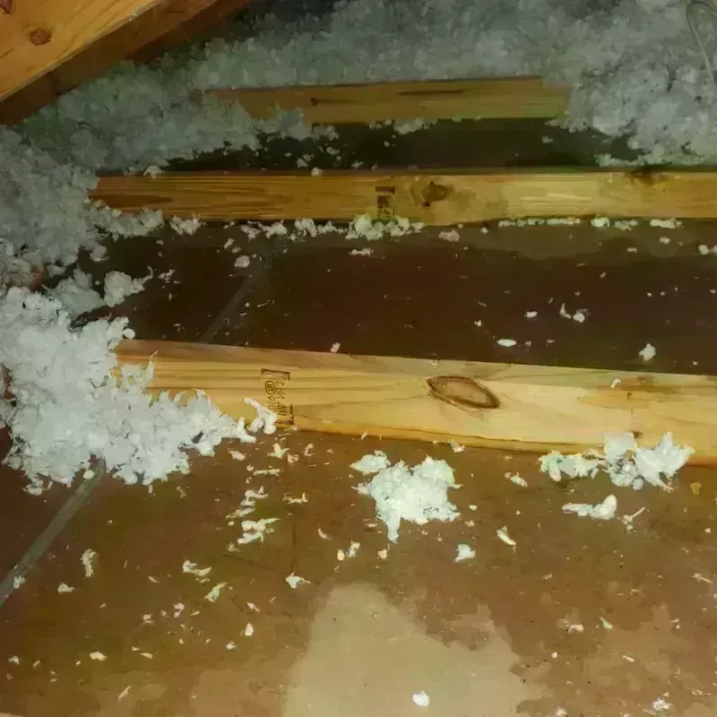 Attic Water Damage in North Plymouth, MA