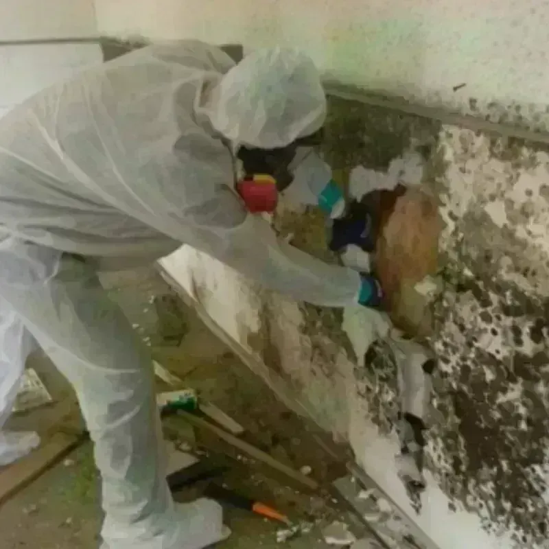 Mold Remediation and Removal in North Plymouth, MA