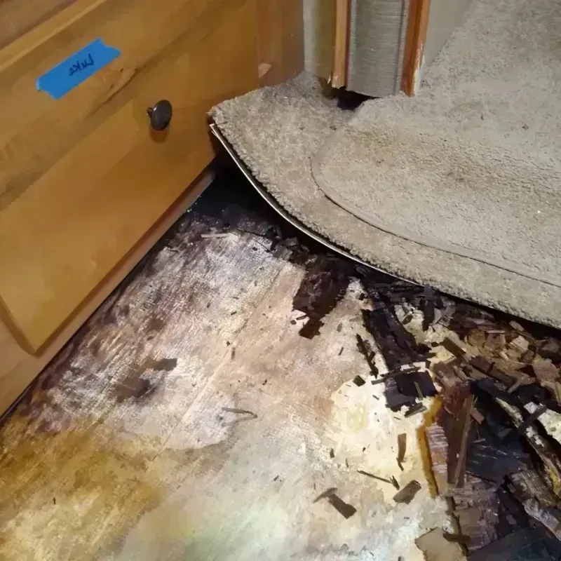 Best Wood Floor Water Damage Service in North Plymouth, MA